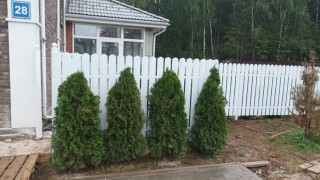 Белый забор из евроштакетника