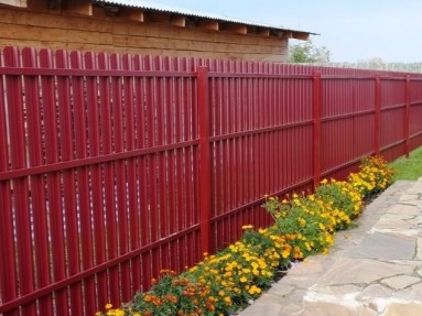 Забор из красного металлического штакетника вишня (RAL 3005)