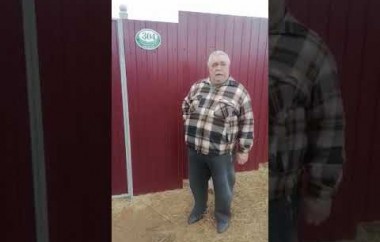 Отзыв клиента 29 апреля 2024 года