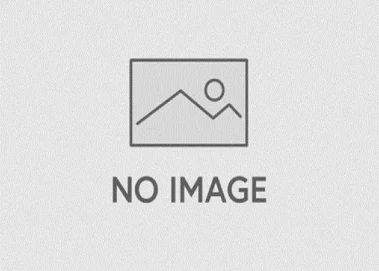 Как выбрать забор для дома, дачи или коттеджа